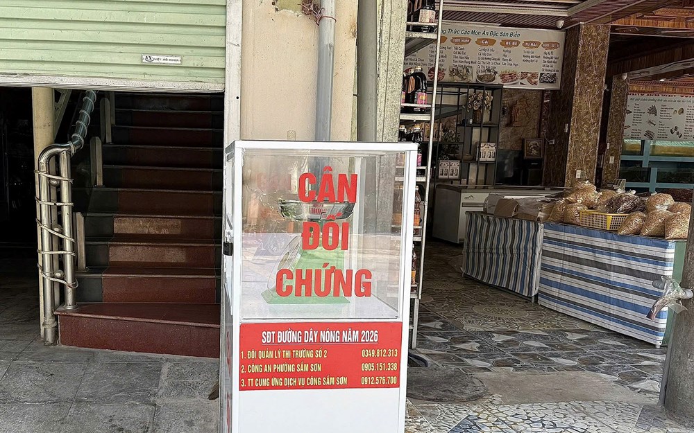 Sầm Sơn lắp cân đối chứng giữa chợ hải sản, du khách thích thú - ảnh 1