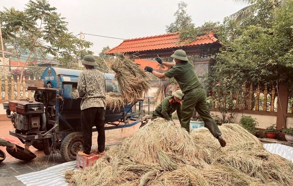 Xúc động màu áo công an xuống đồng giúp dân chạy mùa giữa nắng gắt - ảnh 6