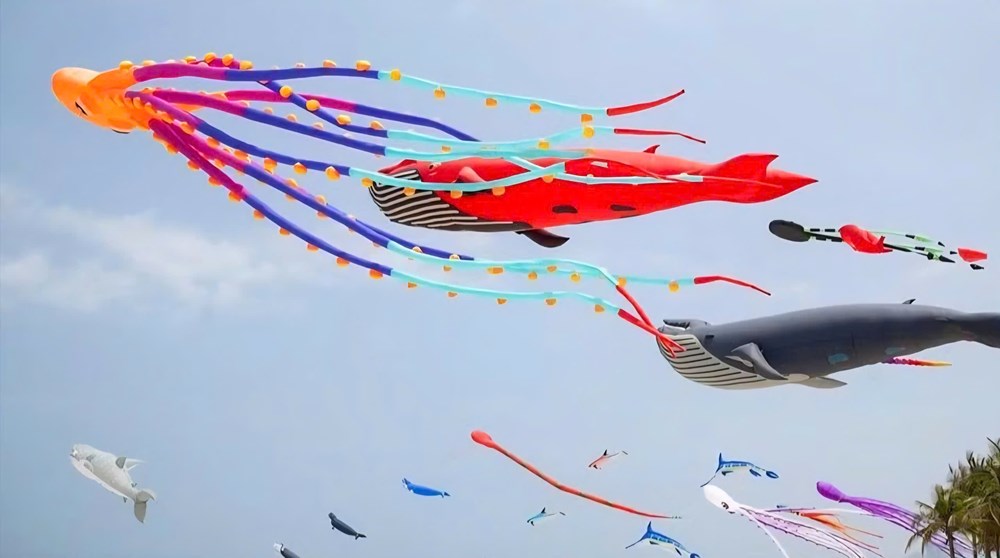 Festival Diều Sầm Sơn có gì đặc biệt trước giờ khai hội? - ảnh 1