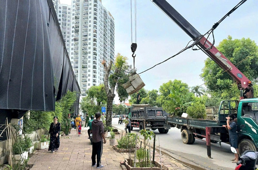 “Siêu phường” Hạc Thành huy động 13 xe cẩu lập lại trật tự đô thị - ảnh 3