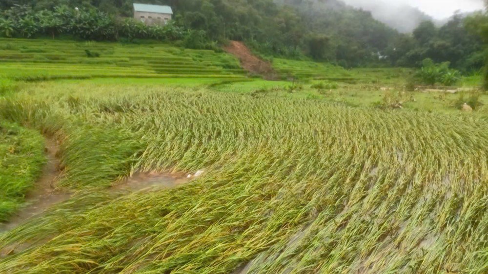 Mưa kéo dài, đất đá sạt vào nhà dân ở Thanh Hóa - ảnh 3