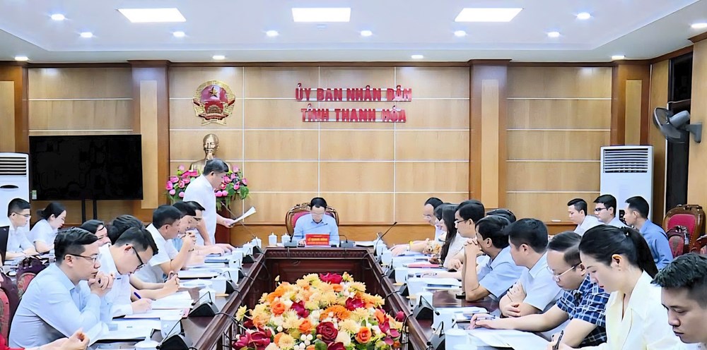 Thanh Hóa còn 533 cơ sở nhà, đất dôi dư chưa đưa vào khai thác - ảnh 1