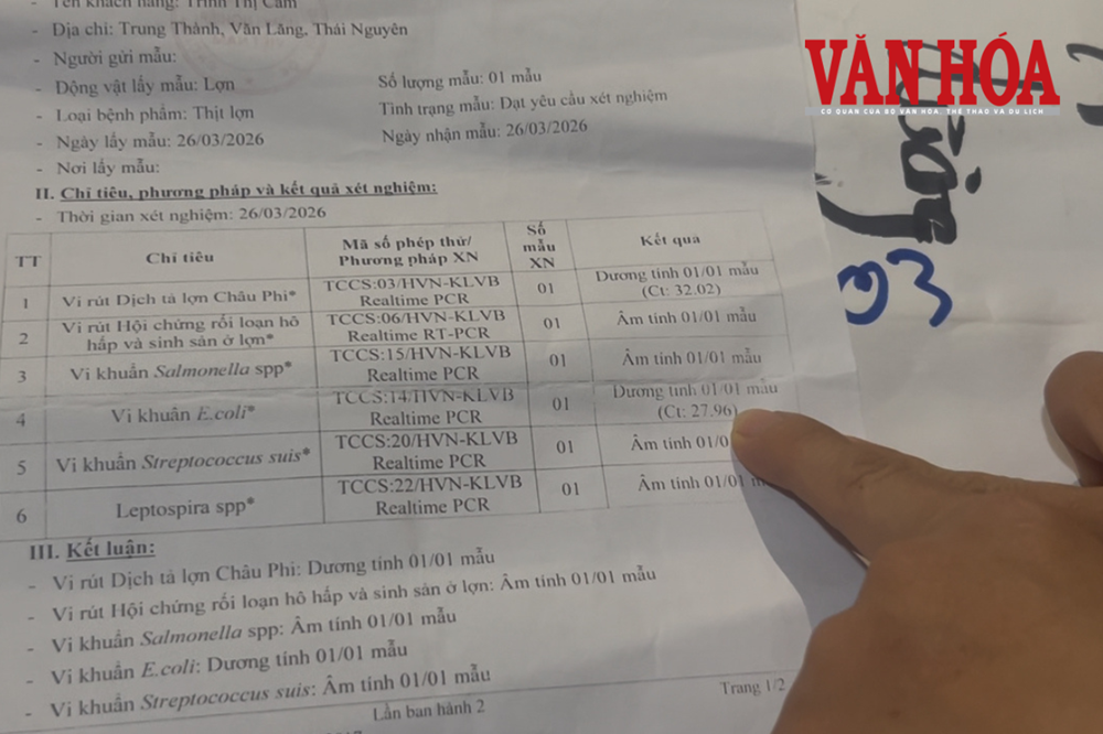 Bắt nguyên hiệu trưởng nhận hối lộ trong cung cấp thực phẩm trường học ở Thái Nguyên - ảnh 2