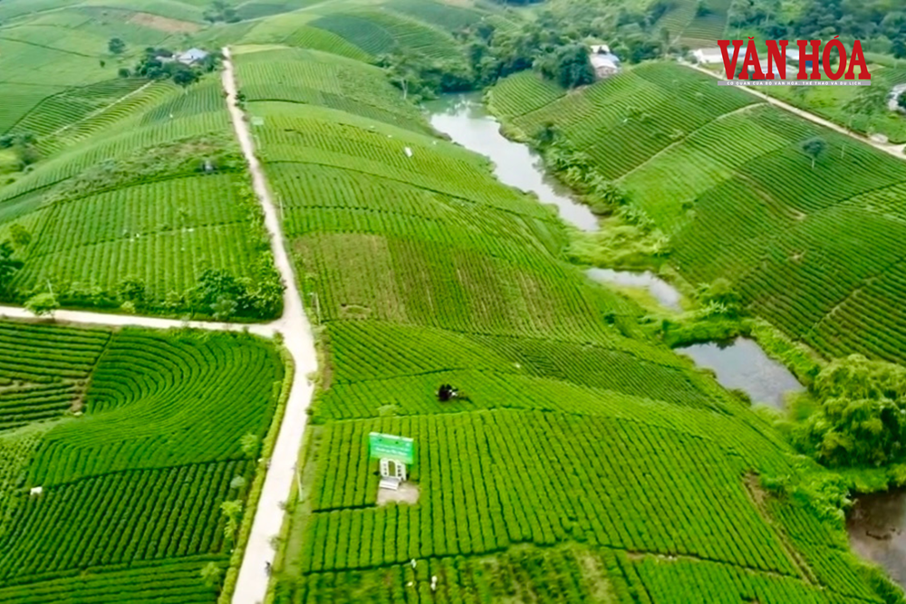 Đầu tư hàng nghìn tỉ đồng cho loạt hạ tầng, mở đà bứt tốc du lịch xứ trà - ảnh 4