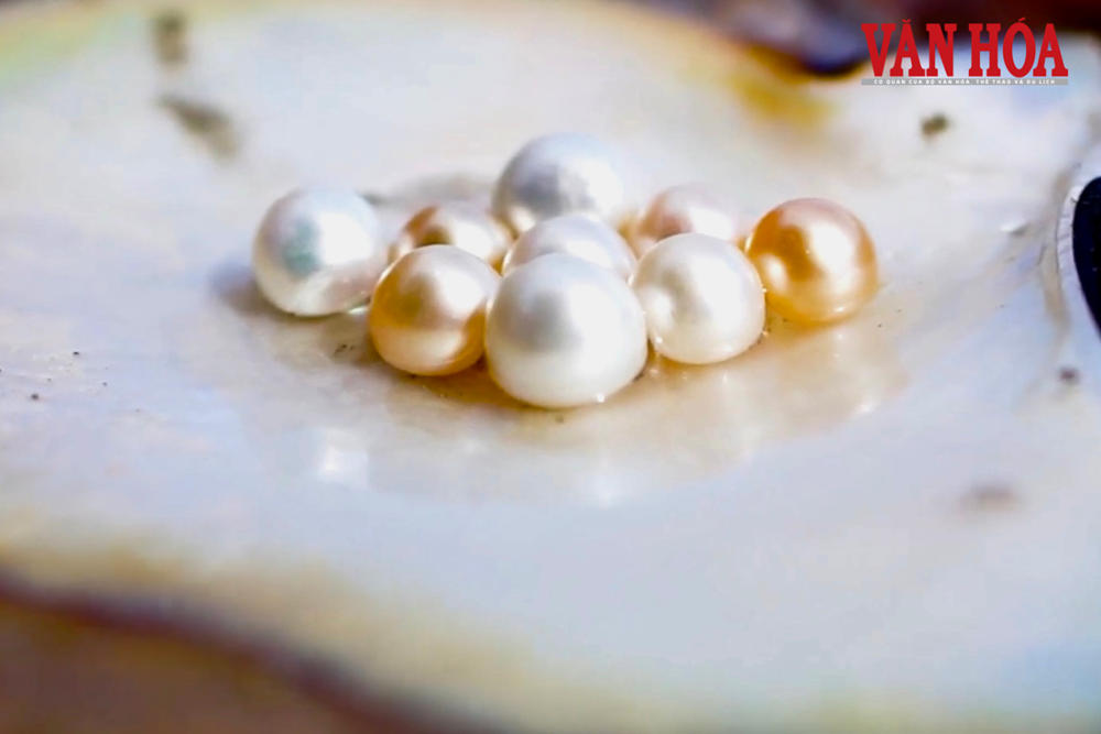 Lão ngư và giấc mơ ngọc trai tại hồ nước ngọt lớn nhất Thái Nguyên - ảnh 5