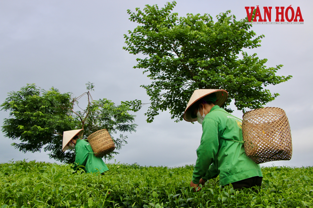 Mở trục liên kết mới cho công nghiệp, du lịch vùng Việt Bắc - ảnh 4