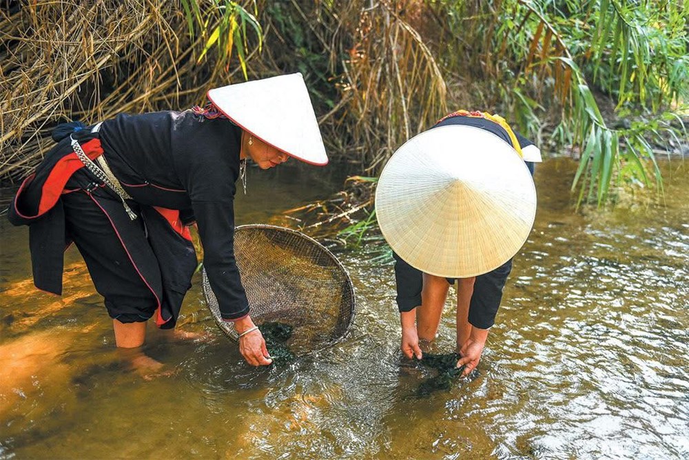 Từ món cứu đói thành đặc sản níu chân du khách ở xứ Tuyên - ảnh 1