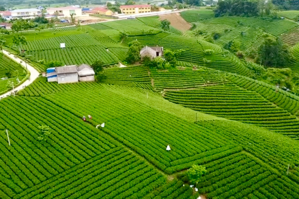 Khu vực Tây Bắc tìm dư địa tăng trưởng từ liên kết du lịch - ảnh 2