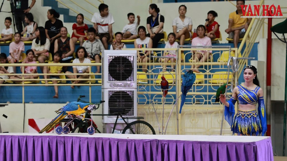 Gala xiếc hút khán giả nhí ở Thái Nguyên - ảnh 7