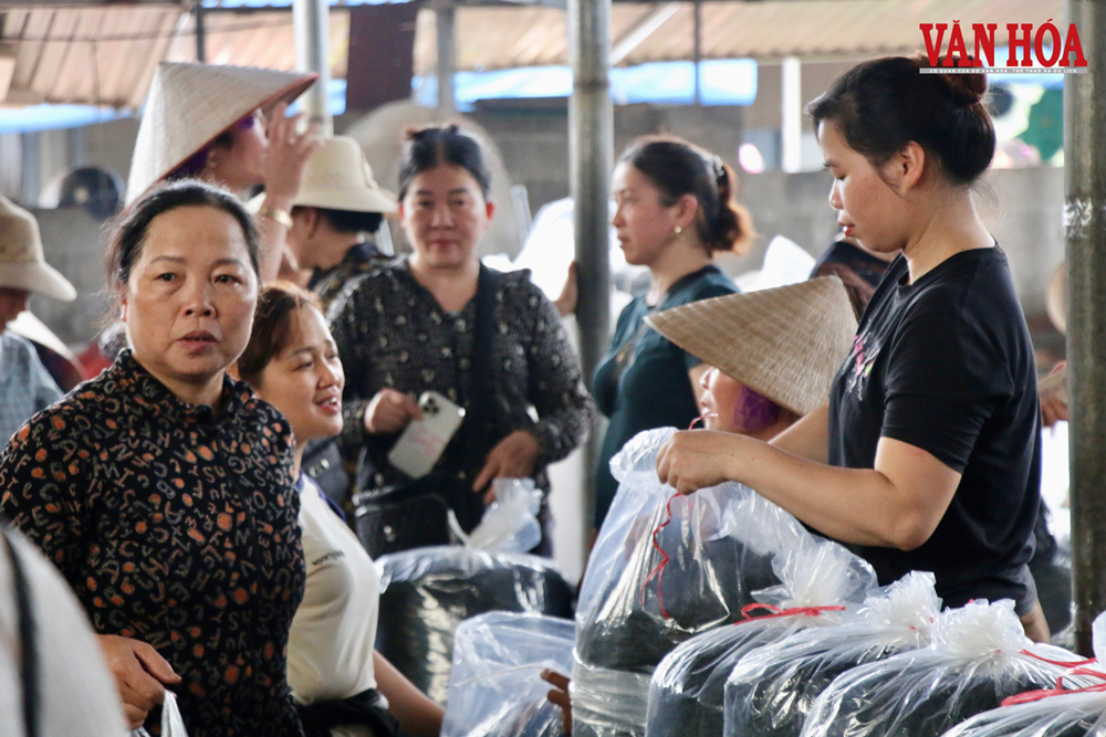 Tái cấu trúc du lịch từ lợi thế vùng chè Thái Nguyên - ảnh 4