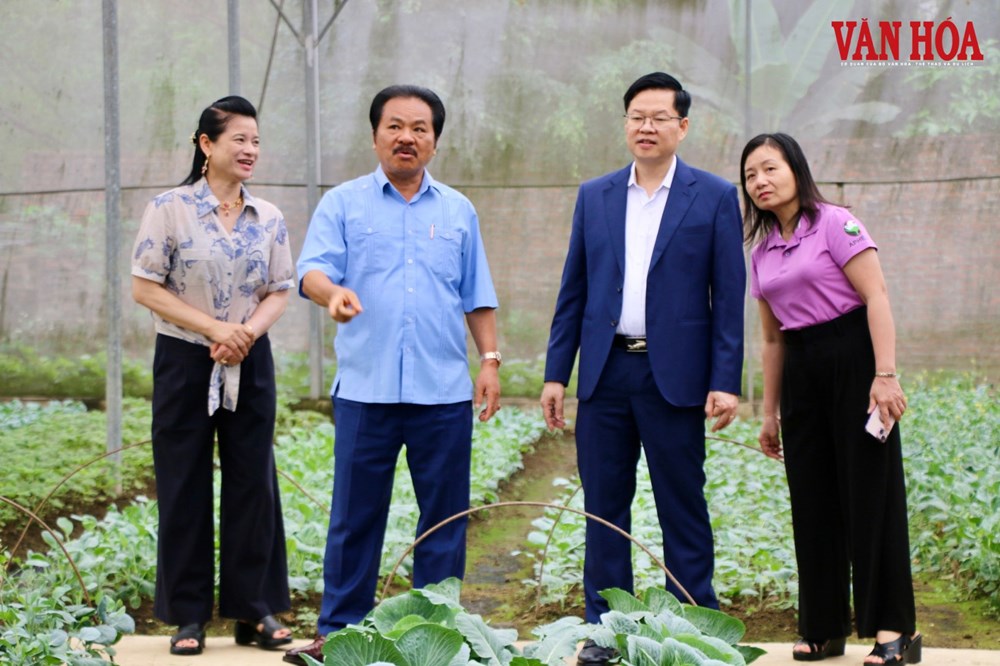 Thái Nguyên mở rộng không gian du lịch từ những nông trại trải nghiệm - ảnh 3