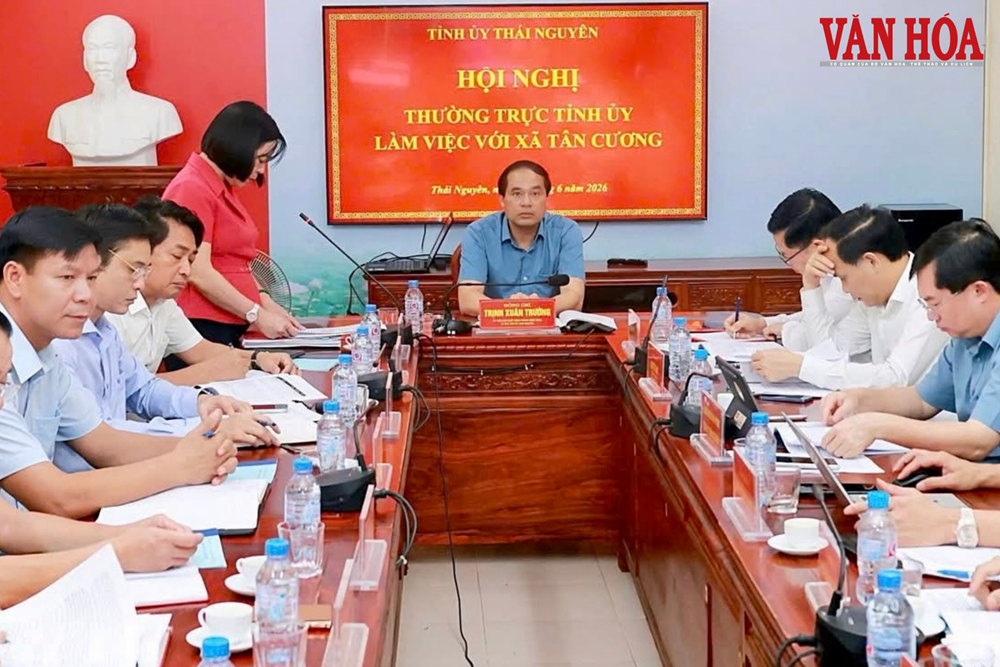 Tân Cương hướng tới trung tâm kinh tế trà và du lịch của Thái Nguyên - ảnh 4