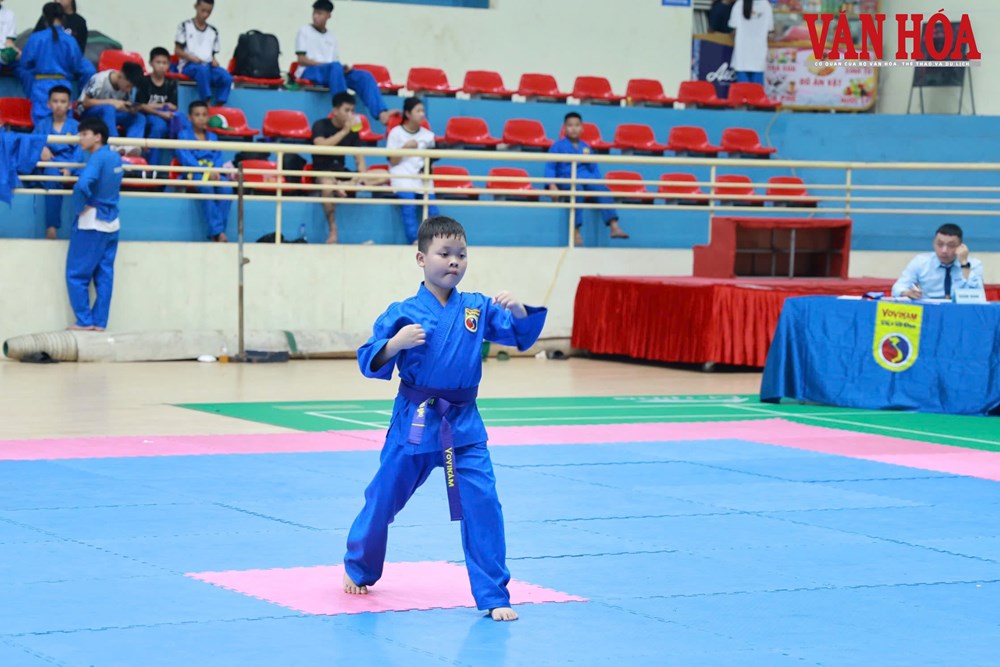 Vovinam khởi tranh tại Đại hội Thể dục thể thao tỉnh Thái Nguyên - ảnh 6