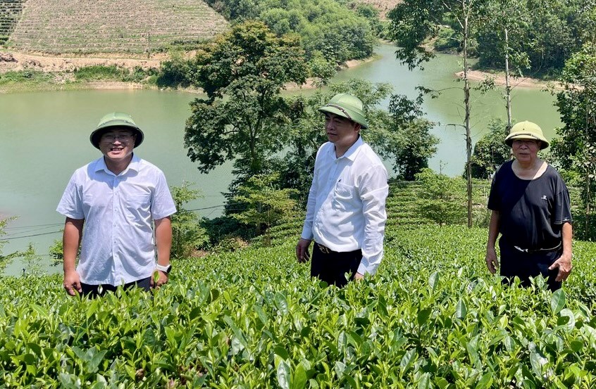 Thái Nguyên tôn vinh văn hóa trà qua hành trình trải nghiệm - ảnh 1