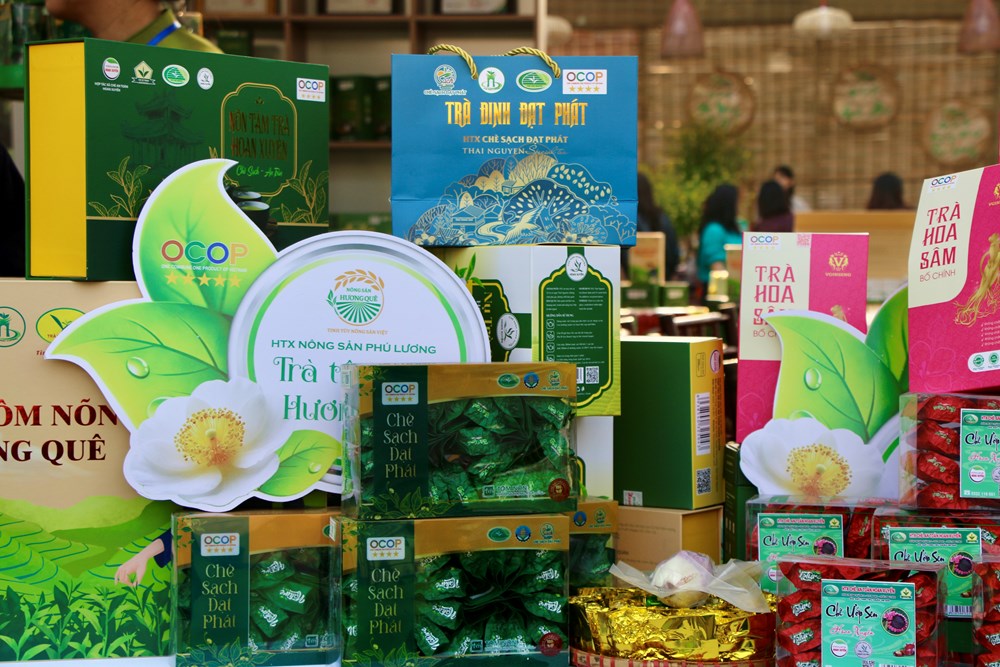 Thái Nguyên tôn vinh văn hóa trà qua hành trình trải nghiệm - ảnh 2