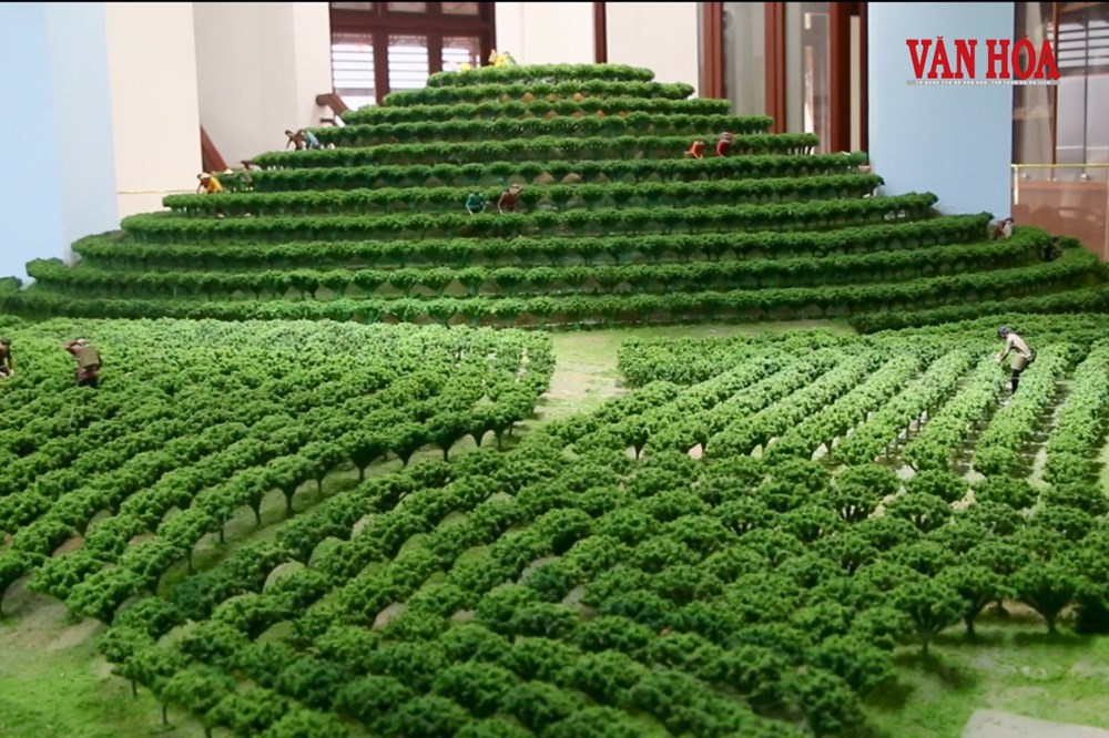 Bảo tàng Thái Nguyên số hóa để nâng trải nghiệm tham quan - ảnh 1
