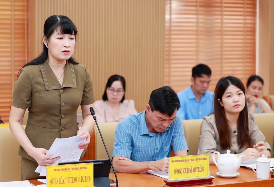 Thái Nguyên chuẩn bị Festival Trà Quốc tế gắn với văn hóa và du lịch - ảnh 2