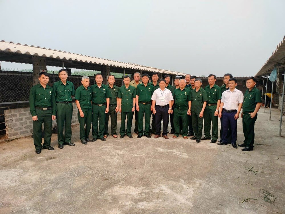 Nghĩa tình đồng đội tiếp sức người lính đất chè vươn lên làm giàu - ảnh 1