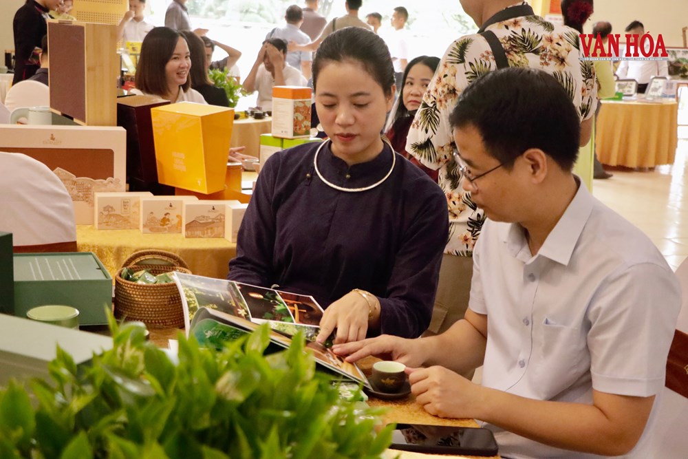 Thái Nguyên cùng 5 tỉnh kết nối di sản, mở rộng không gian du lịch vùng phía Bắc - ảnh 4