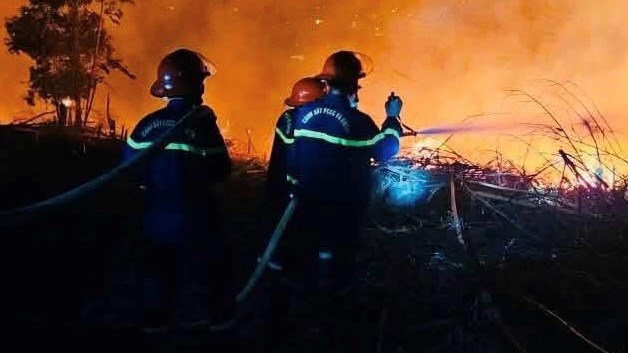 Tuyên Quang huy động lực lượng dập cháy rừng trong đêm - ảnh 2