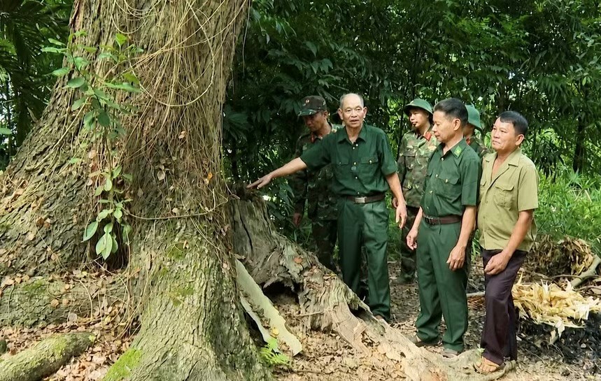 Lào Cai tìm thấy mộ tập thể 7 liệt sĩ tại Pháo đài K30 - ảnh 3