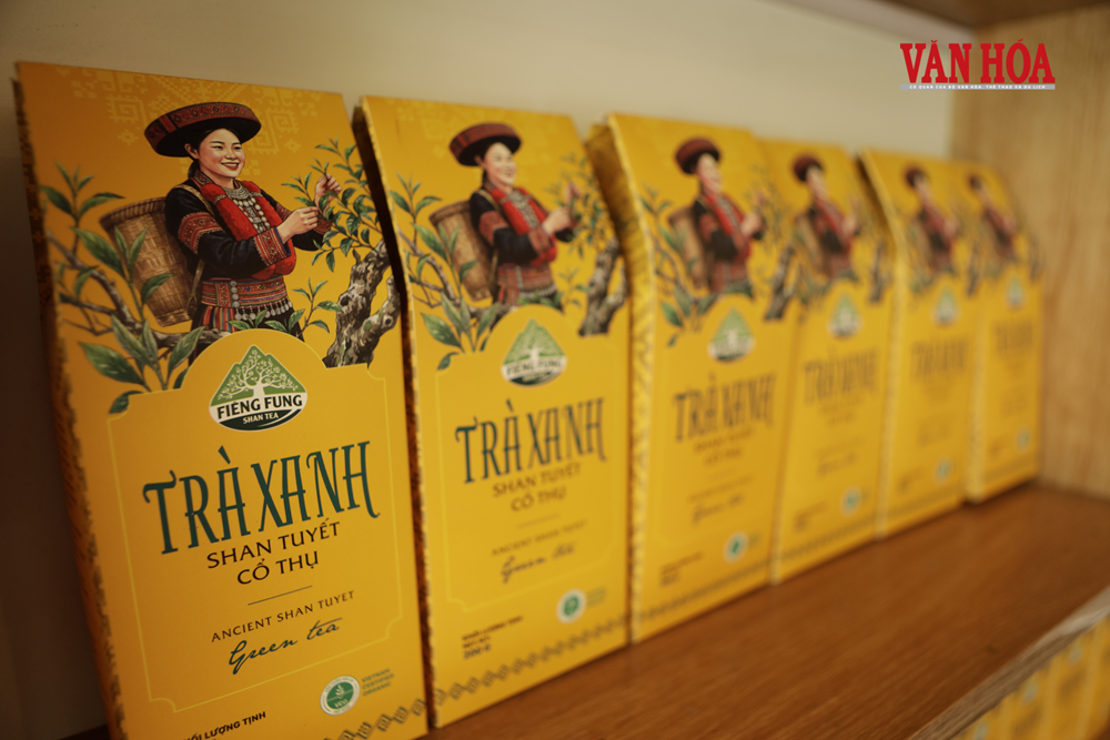 Kỳ 2 - Giữ hồn chè Shan tuyết cổ giữa vùng núi ở Thái Nguyên - ảnh 5