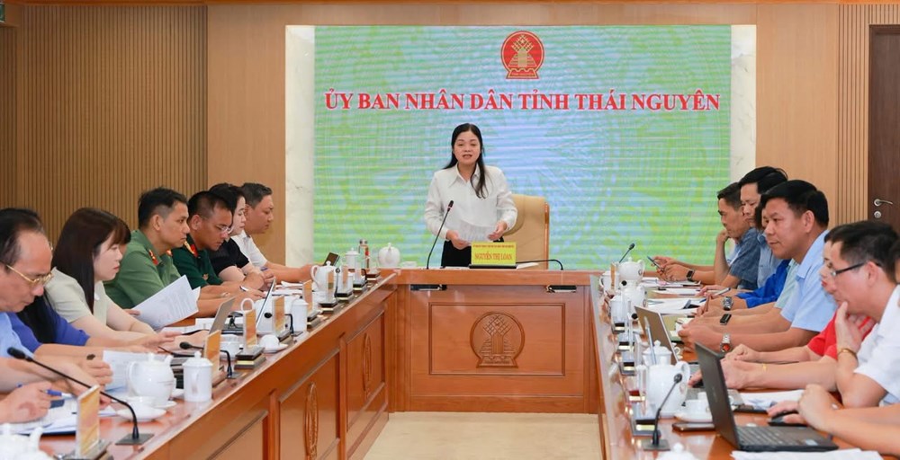 Festival Trà Quốc tế Thái Nguyên 2026 vào chặng nước rút - ảnh 1