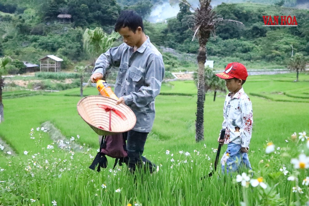 Kỳ 1 - Khi mầm chữ trổ bông trên nương đá Bản Tèn - ảnh 1