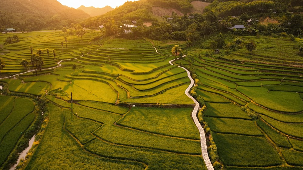 Kỳ 2 - Hành trình “gánh” chữ cắm rễ tri thức giữa đại ngàn ở Thái Nguyên - ảnh 1