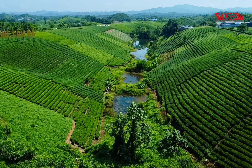 Tàu du lịch Hà Nội - Thái Nguyên mở hành trình khám phá xứ trà - ảnh 3