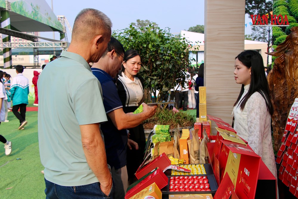 Thái Nguyên sắp diễn ra chuỗi sự kiện văn hóa gắn với di sản trà - ảnh 1