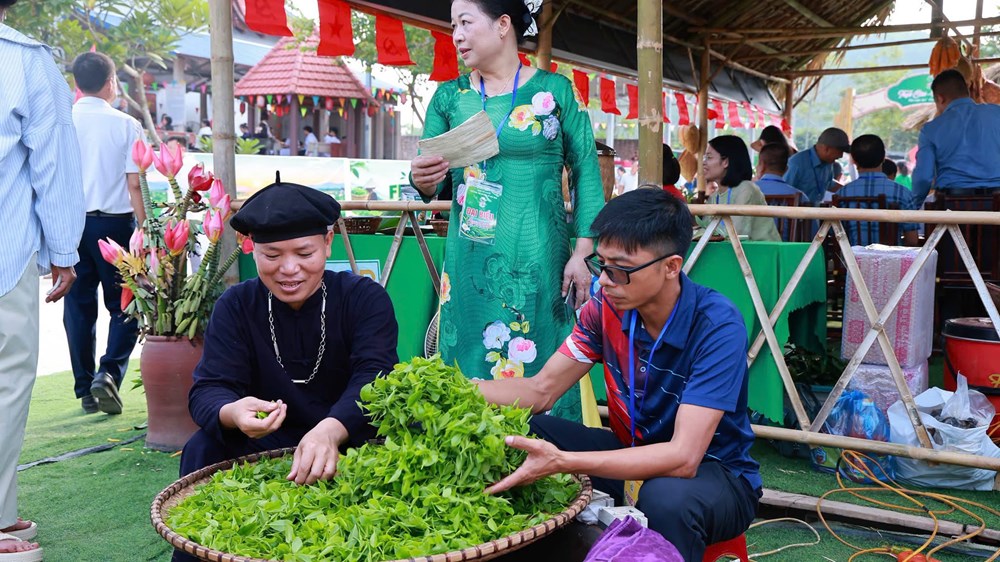 Đánh thức giá trị văn hóa trà Trại Cài từ trải nghiệm di sản - ảnh 4