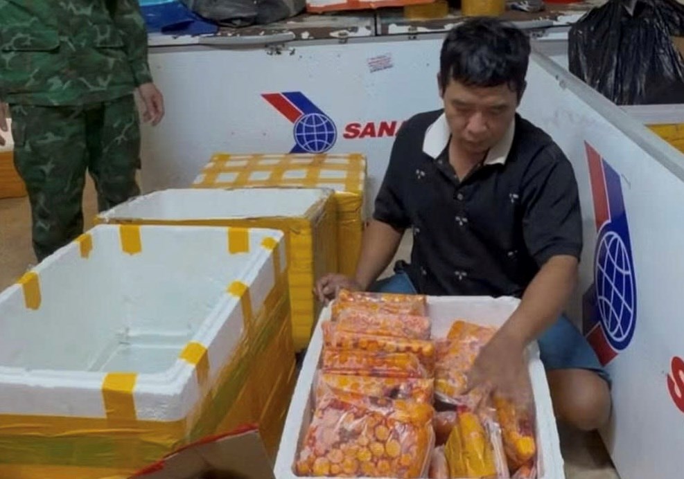 Triệt phá đường dây tuồn hàng tấn thực phẩm lậu xuyên biên giới - ảnh 2
