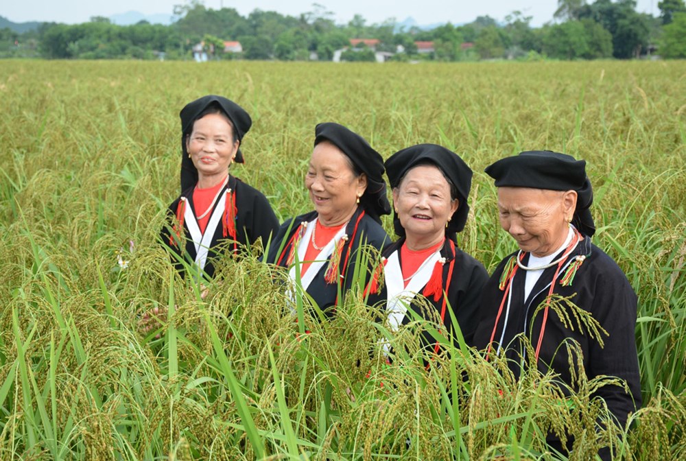 Độc đáo nghệ thuật hát Soọng cô của người Sán Dìu ở Đồng Hỷ - ảnh 5