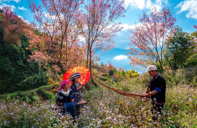 Sắp diễn ra Festival trình diễn khèn Mông và Lễ hội hoa Tớ dày - ảnh 1