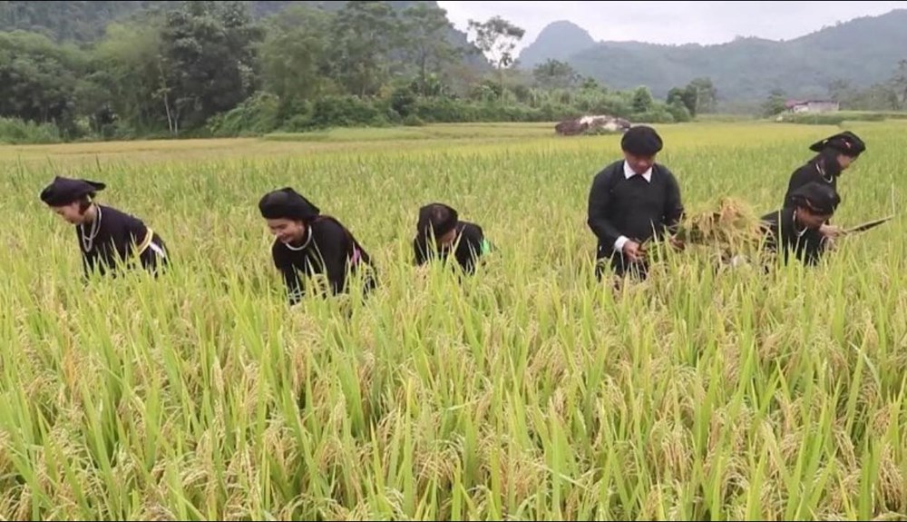 Thôn Khun - điểm đến du lịch cộng đồng hấp dẫn ở Quang Bình - ảnh 4
