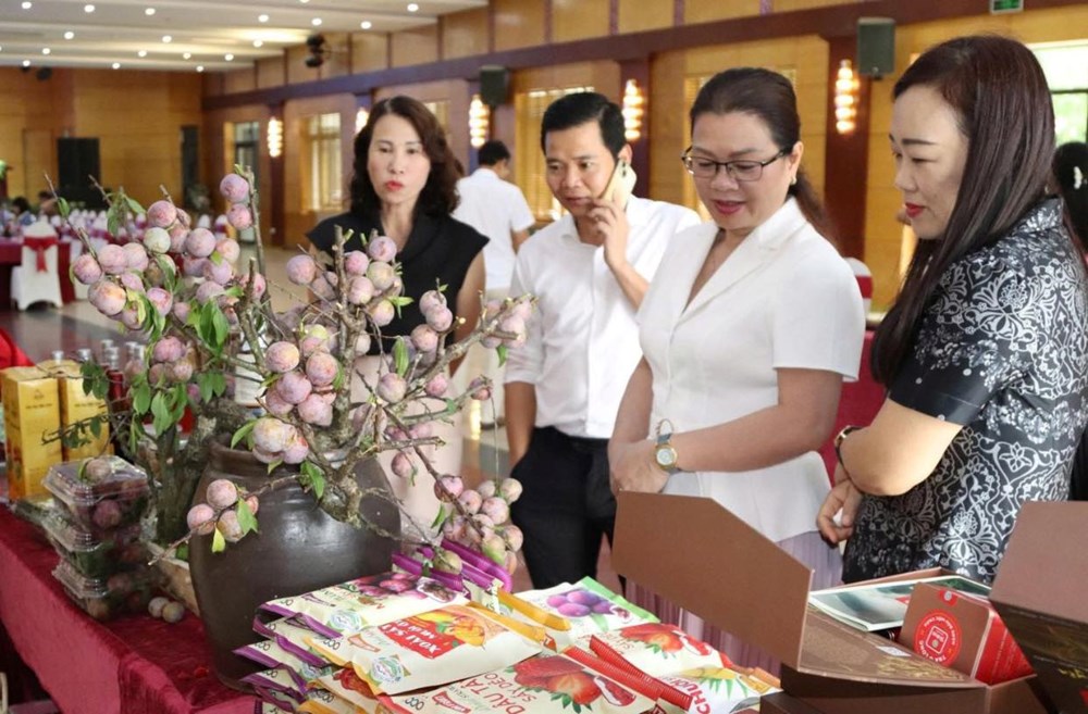 Hợp tác phát triển du lịch 8 tỉnh Tây Bắc mở rộng và TP.HCM năm 2025 - ảnh 2