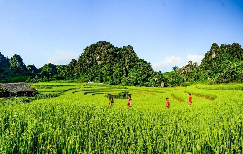 Phấn đấu trở thành điểm sáng phát triển du lịch cộng đồng giàu bản sắc - ảnh 6