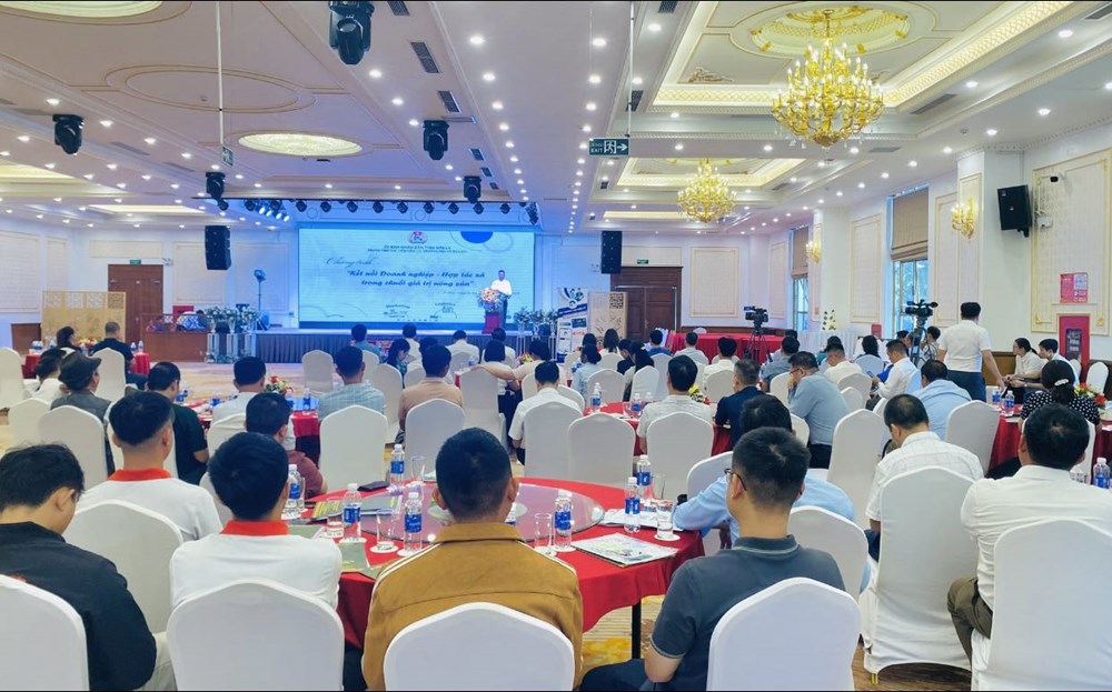 Kết nối thị trường, xây dựng chuỗi giá trị để nông sản Sơn La vươn xa - ảnh 1