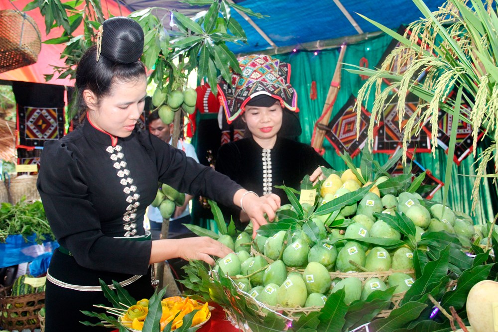 Kết nối thị trường, xây dựng chuỗi giá trị để nông sản Sơn La vươn xa - ảnh 2