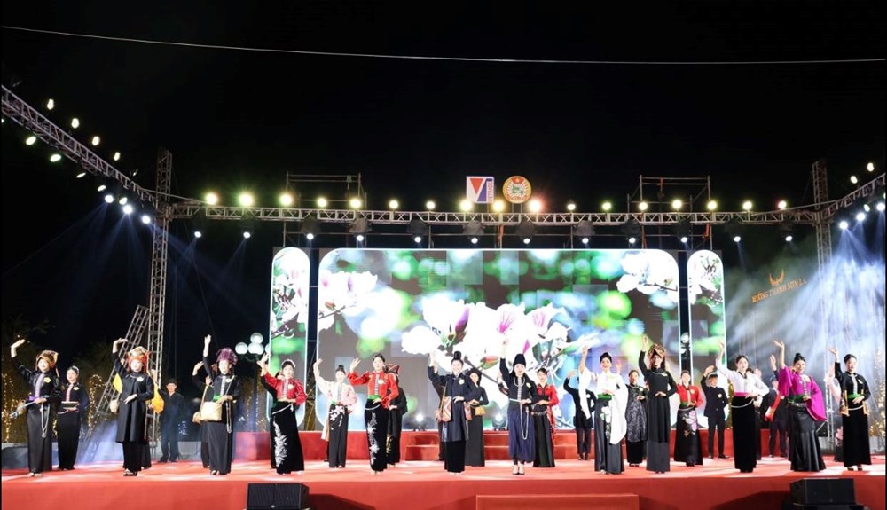 Bế mạc Liên hoan nghệ thuật Xòe Thái tỉnh Sơn La lần thứ II - ảnh 1