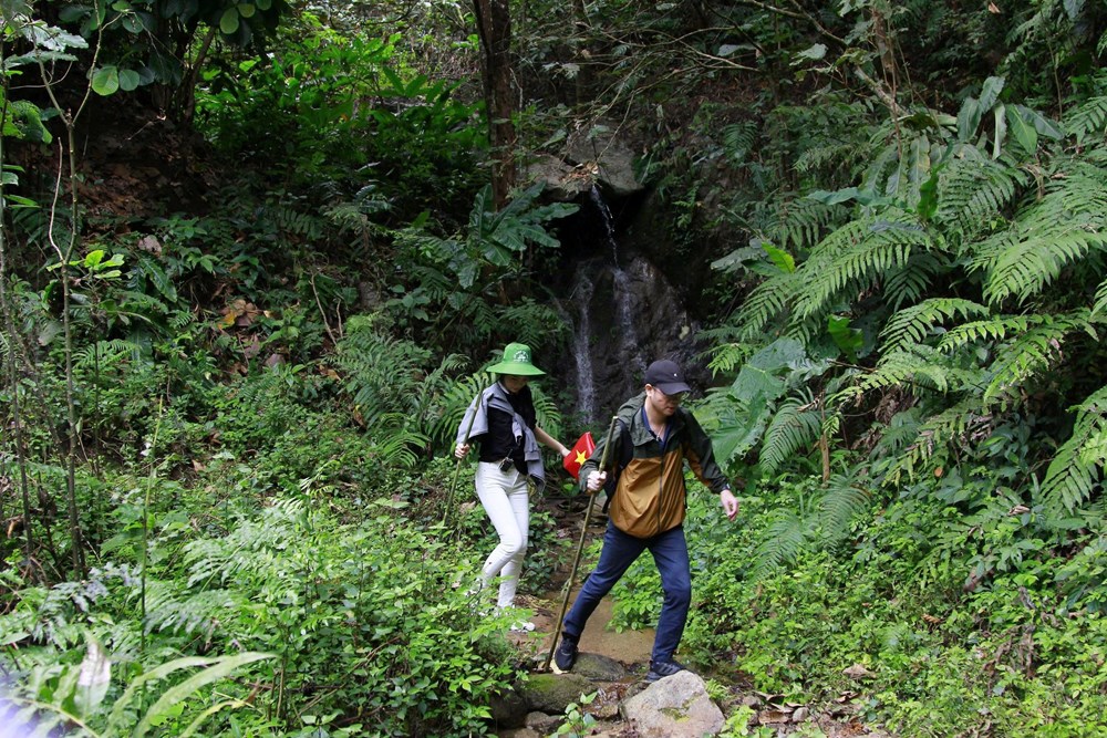 “Cơ hội vàng” chinh phục đỉnh núi Pu Tó Cọ, khám phá lòng chảo Mường Thanh - ảnh 3