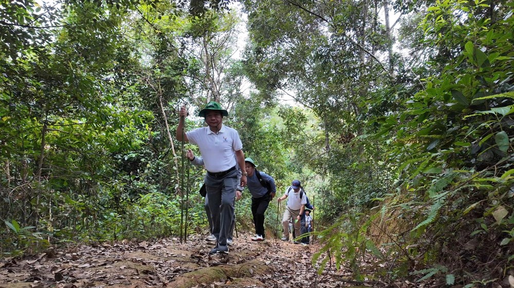 “Cơ hội vàng” chinh phục đỉnh núi Pu Tó Cọ, khám phá lòng chảo Mường Thanh - ảnh 2