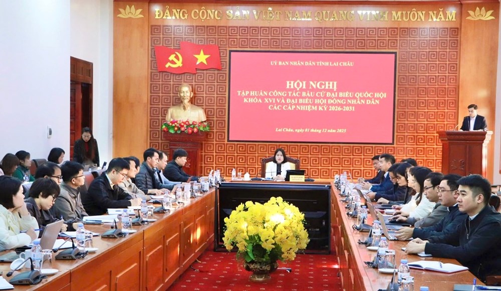 Triển khai công tác bầu cử ĐBQH khóa XVI, đại biểu HĐND các cấp nhiệm kỳ 2026-2031 - ảnh 1