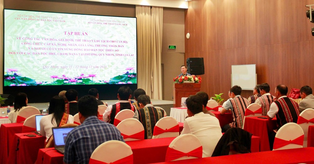 Tập huấn công tác văn hóa, gia đình, thể thao và du lịch tại Gia Lai - ảnh 1