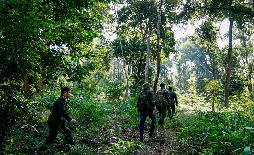 Nâng cao chất lượng, bảo tồn hệ sinh thái rừng và phòng, chống thiên tai - ảnh 1