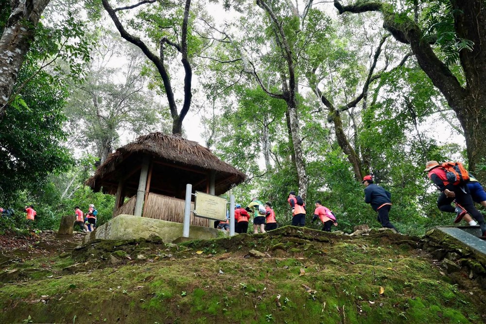 Hơn 1.250 VĐV chinh phục đỉnh núi Pu Tó Cọ, khám phá lòng chảo Mường Thanh - ảnh 3