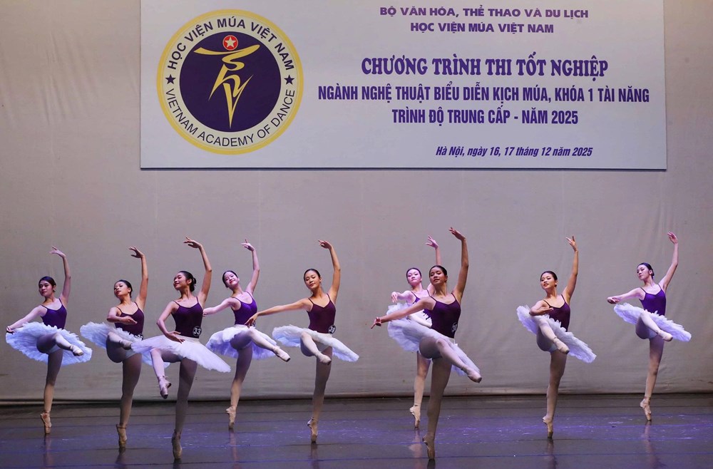 Dấu ấn đào tạo nghệ thuật biểu diễn kịch múa - ảnh 13