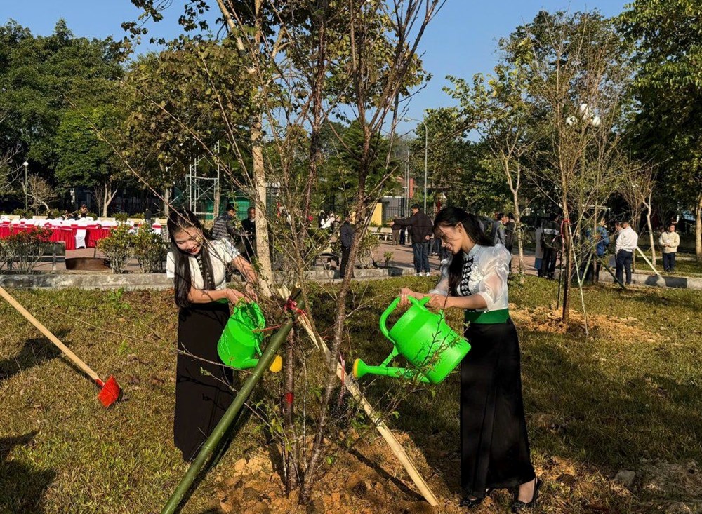 Mường Phăng phát động trồng cây anh đào tạo cảnh quan hấp dẫn du khách - ảnh 1