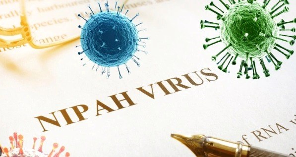 Tuyên Quang tăng cường giám sát phòng, chống dịch bệnh do virus Nipah - ảnh 1